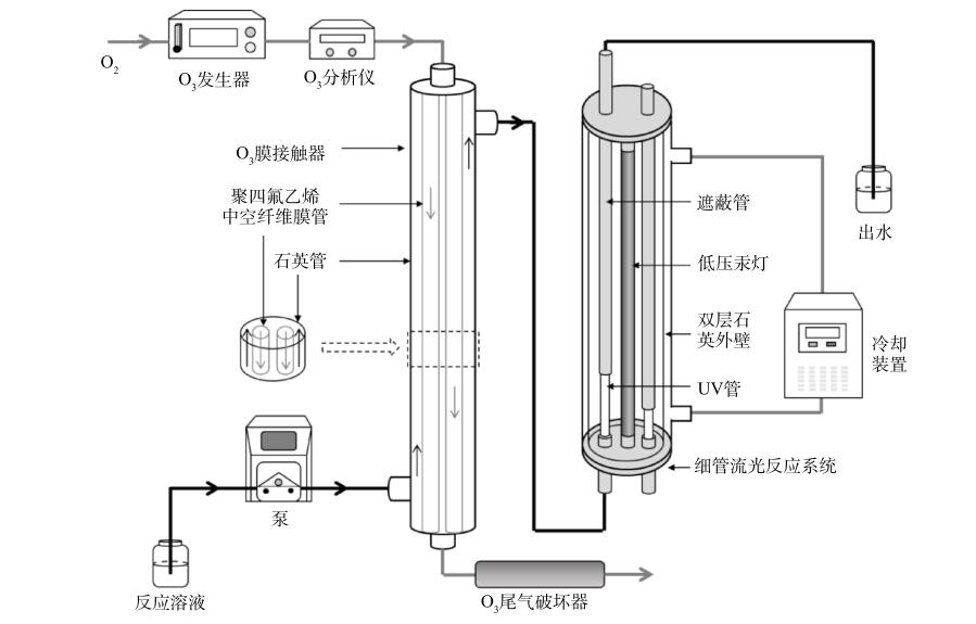 膜接觸 O3 -UV 實(shí)驗(yàn)裝置示意圖